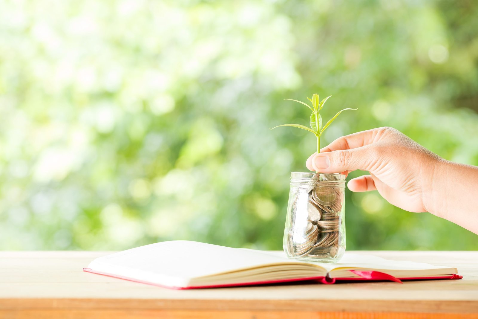 Close-up of a coin jar with a tree in the background for cleaning