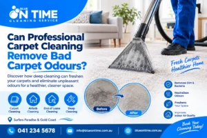 Can Professional Carpet Cleaning Remove Bad Carpet Odours