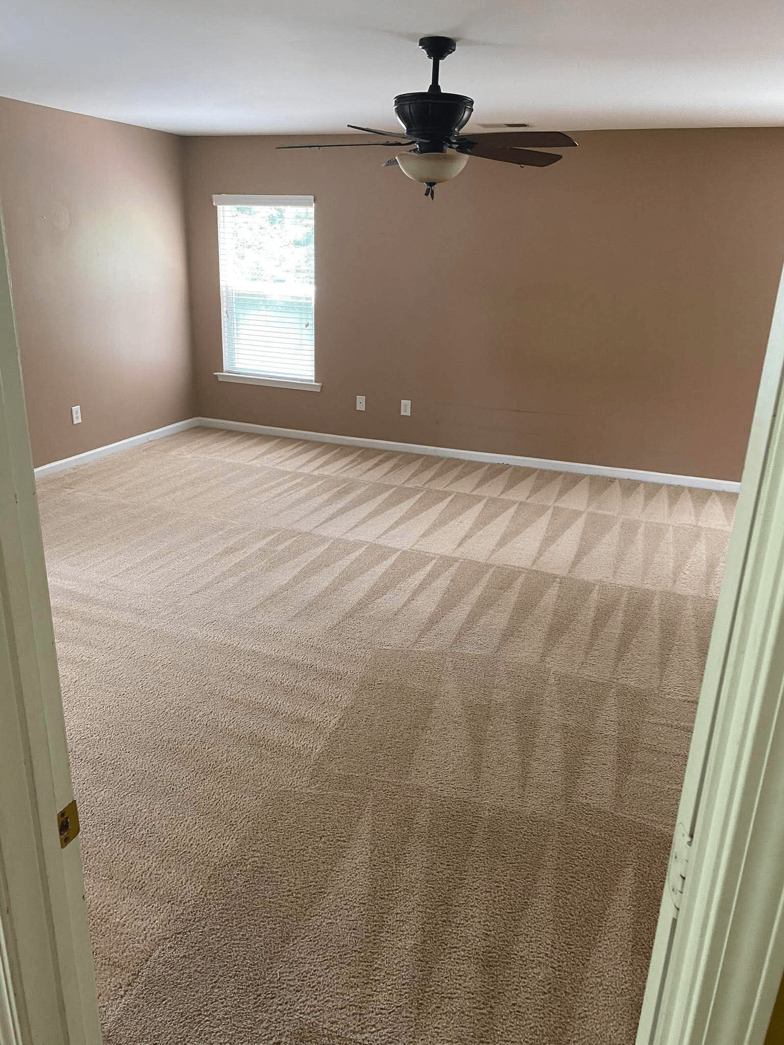 Domestic steam carpet cleaning service by Blue On Time